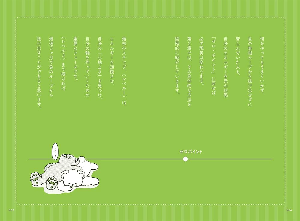 新品◆ゼロポイント願望実現法 日本人のための引き寄せ実践プログラム◆DVD ゼロポイント願望実現法